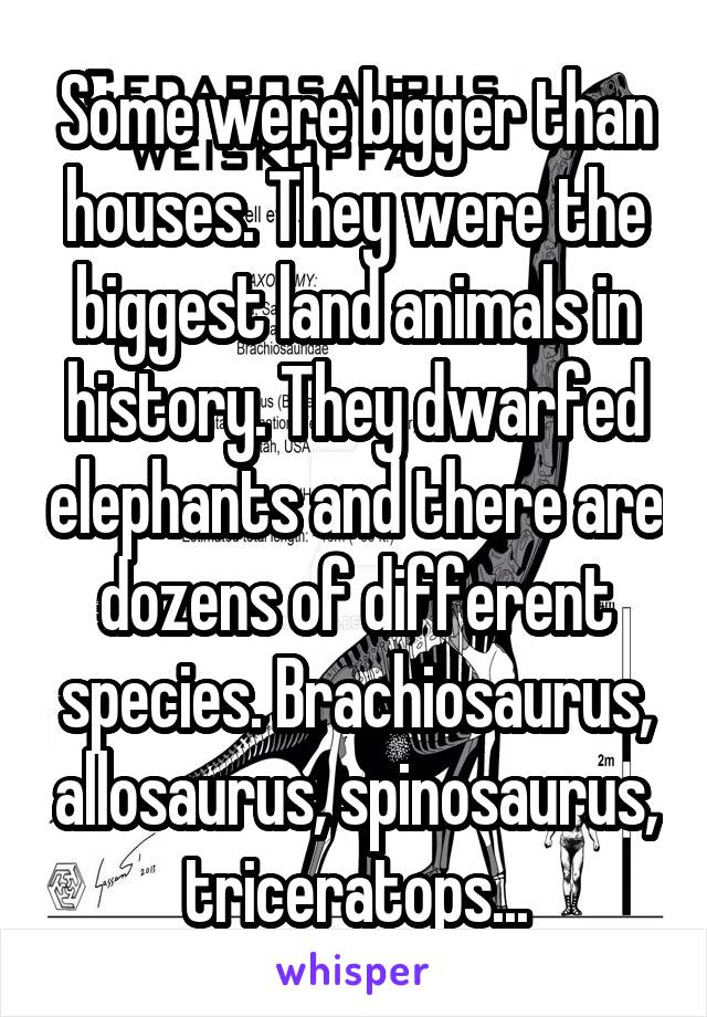 Some were bigger than houses. They were the biggest land animals in history. They dwarfed elephants and there are dozens of different species. Brachiosaurus, allosaurus, spinosaurus, triceratops...