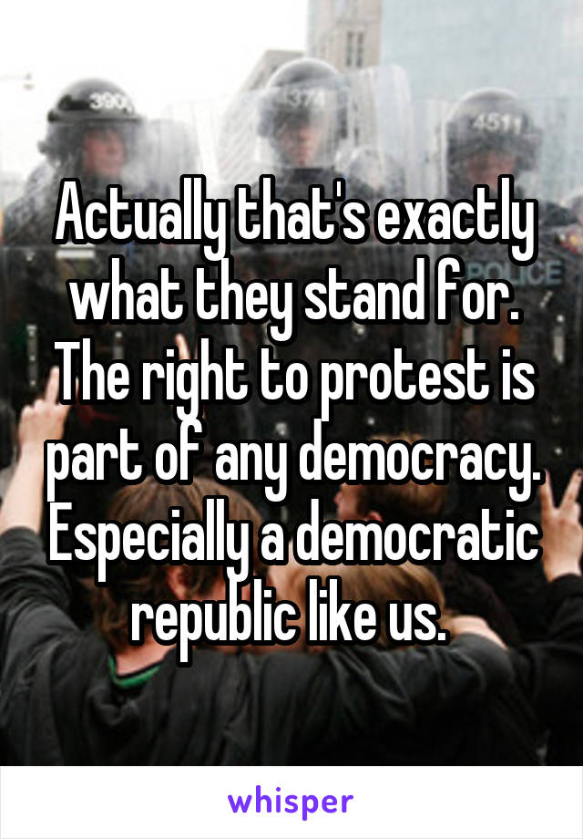 Actually that's exactly what they stand for. The right to protest is part of any democracy. Especially a democratic republic like us. 