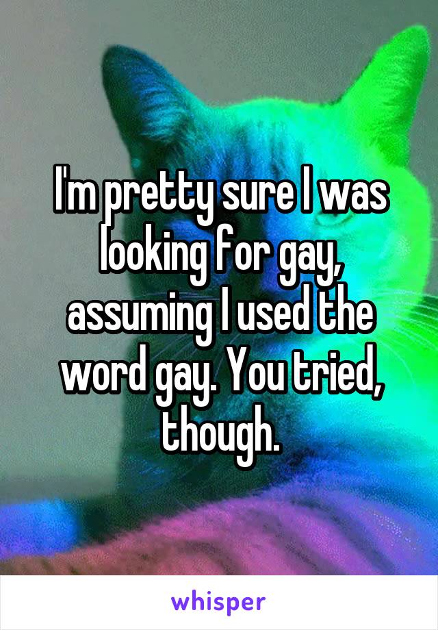 I'm pretty sure I was looking for gay, assuming I used the word gay. You tried, though.