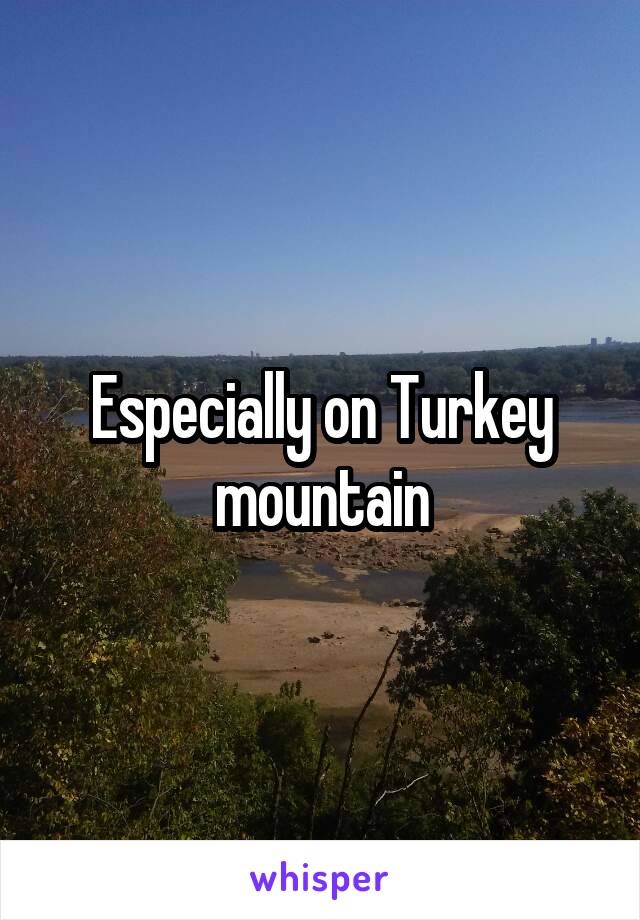 Especially on Turkey mountain