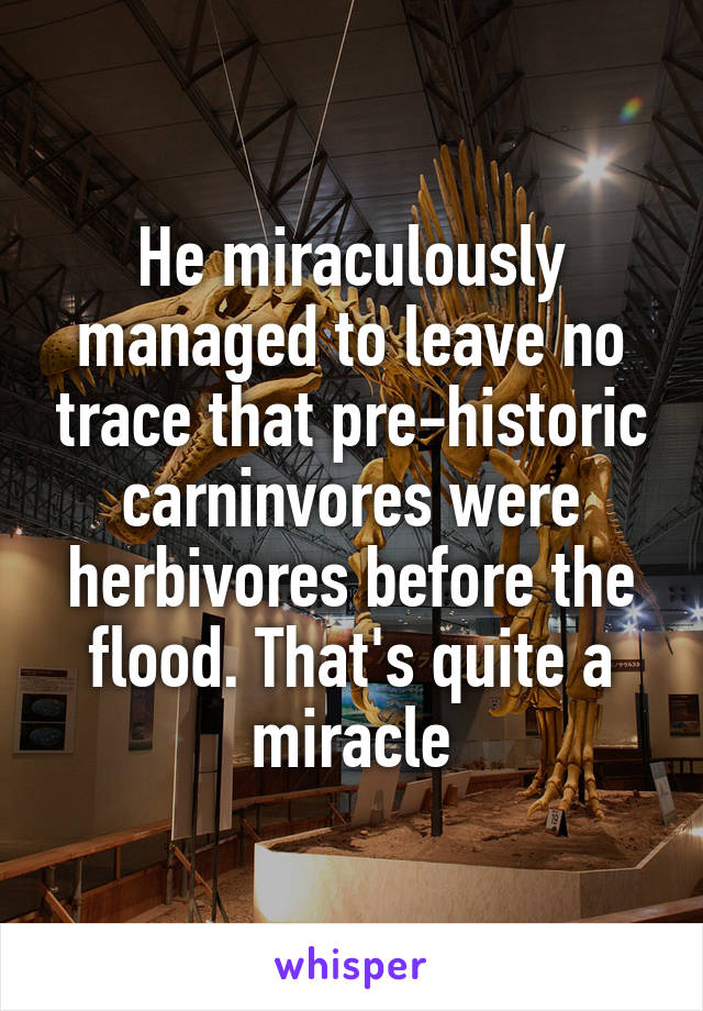 He miraculously managed to leave no trace that pre-historic carninvores were herbivores before the flood. That's quite a miracle