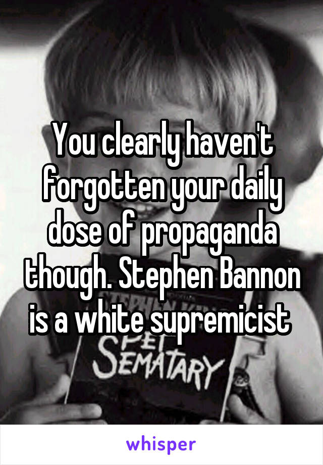 You clearly haven't forgotten your daily dose of propaganda though. Stephen Bannon is a white supremicist 