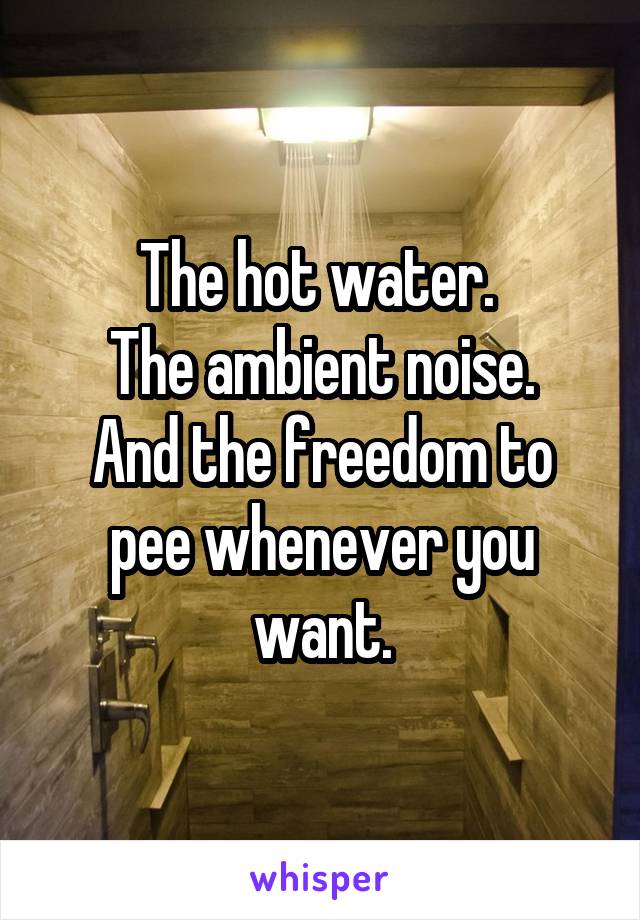 The hot water. 
The ambient noise.
And the freedom to pee whenever you want.