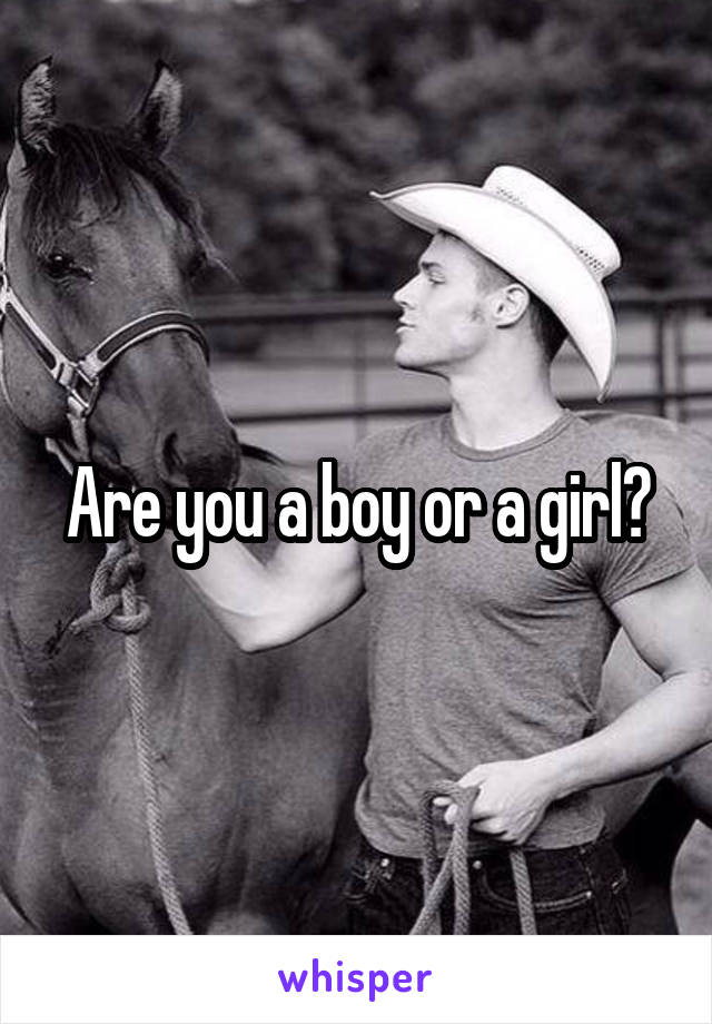 Are you a boy or a girl?