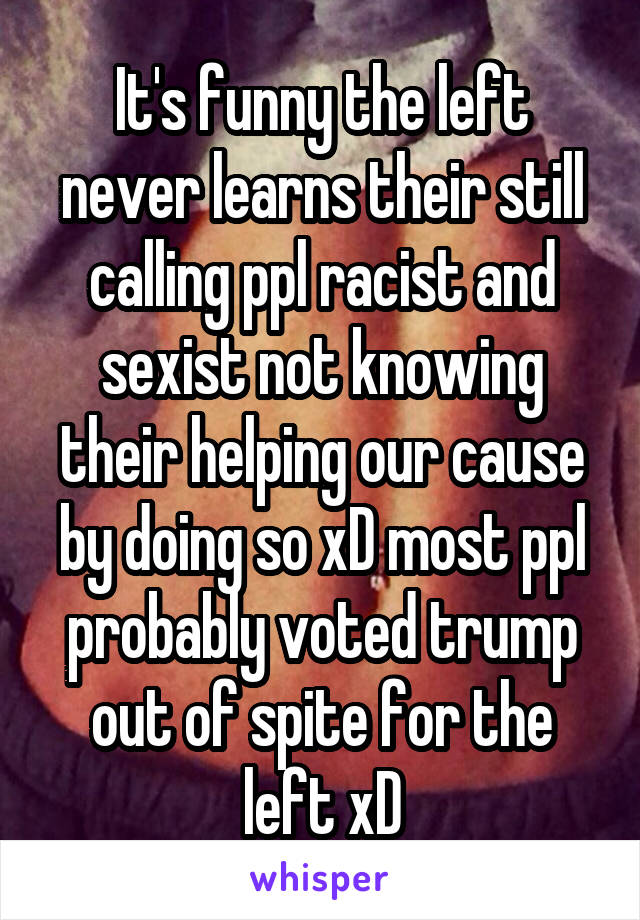 It's funny the left never learns their still calling ppl racist and sexist not knowing their helping our cause by doing so xD most ppl probably voted trump out of spite for the left xD