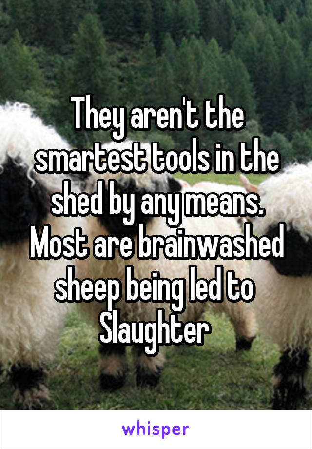 They aren't the smartest tools in the shed by any means. Most are brainwashed sheep being led to 
Slaughter 