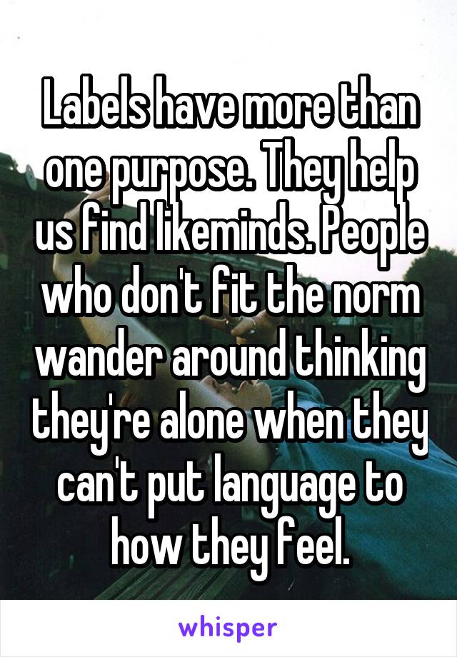 Labels have more than one purpose. They help us find likeminds. People who don't fit the norm wander around thinking they're alone when they can't put language to how they feel.