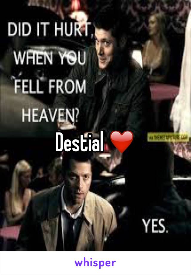 Destial ❤️
