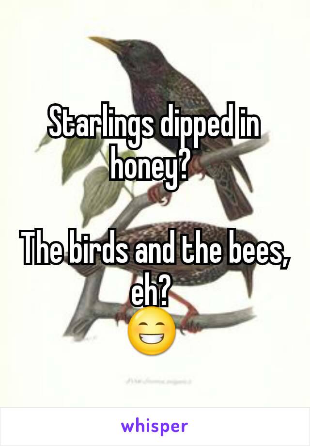 Starlings dipped in honey? 

The birds and the bees, eh? 
😁 