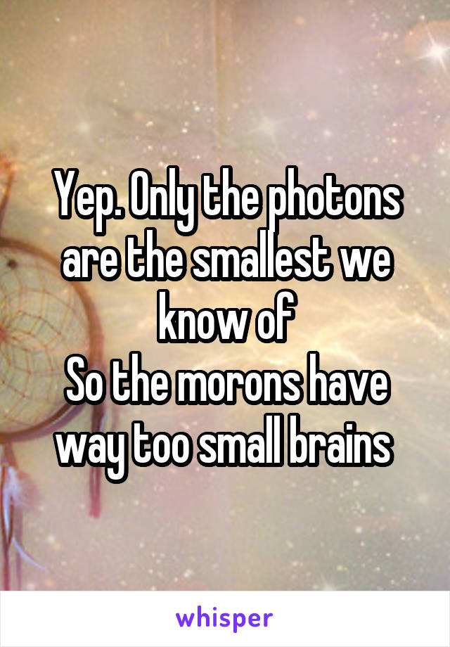 Yep. Only the photons are the smallest we know of
So the morons have way too small brains 
