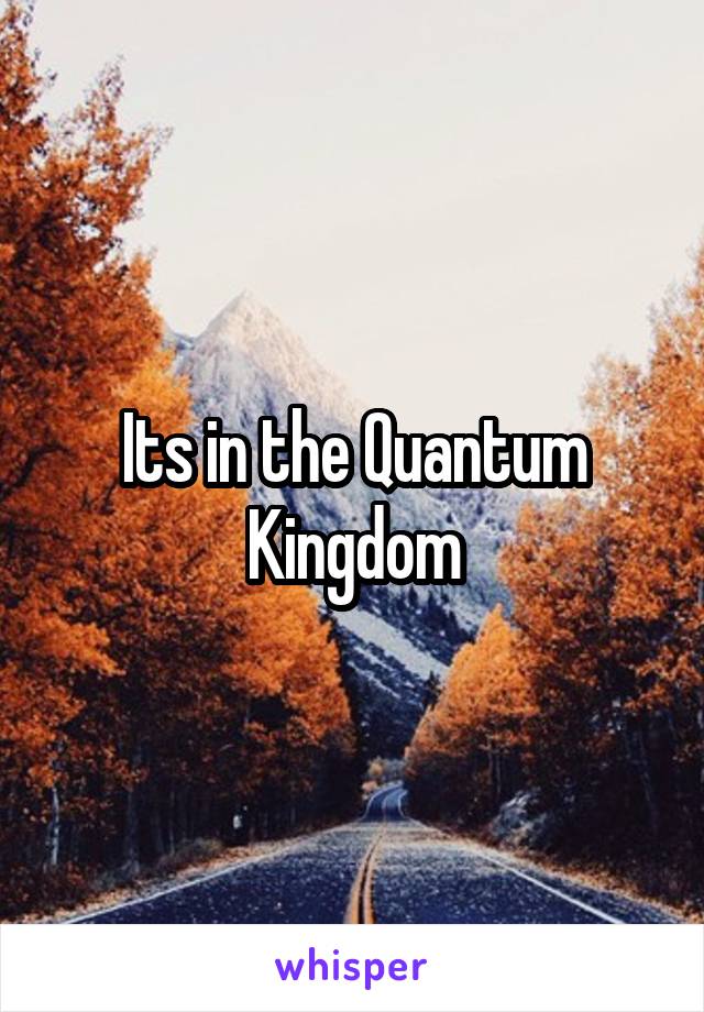 Its in the Quantum Kingdom