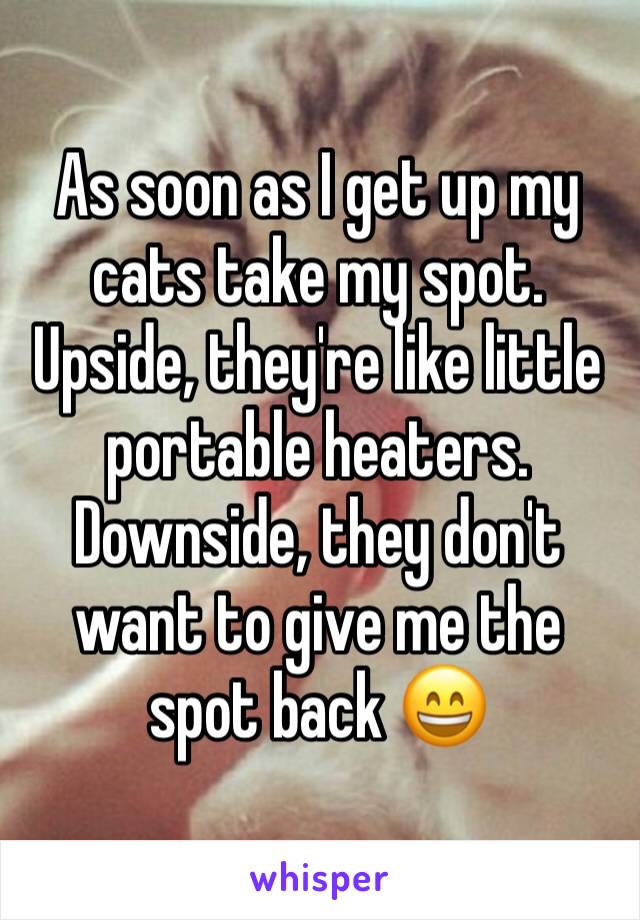 As soon as I get up my cats take my spot. Upside, they're like little portable heaters. Downside, they don't want to give me the spot back 😄