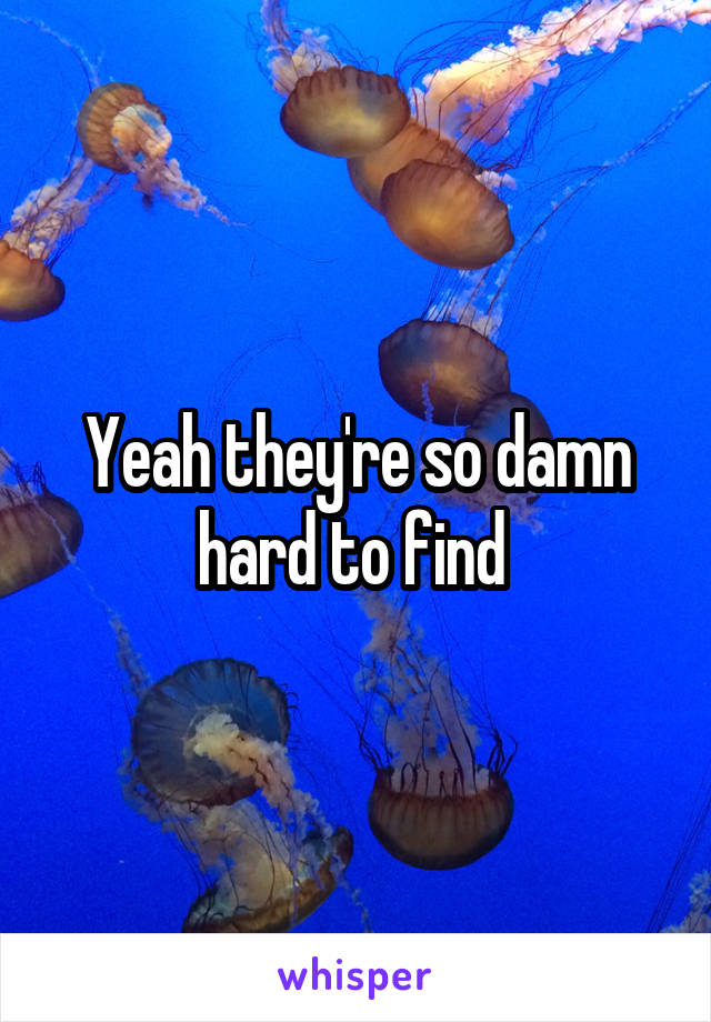 Yeah they're so damn hard to find 