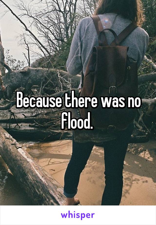 Because there was no flood. 