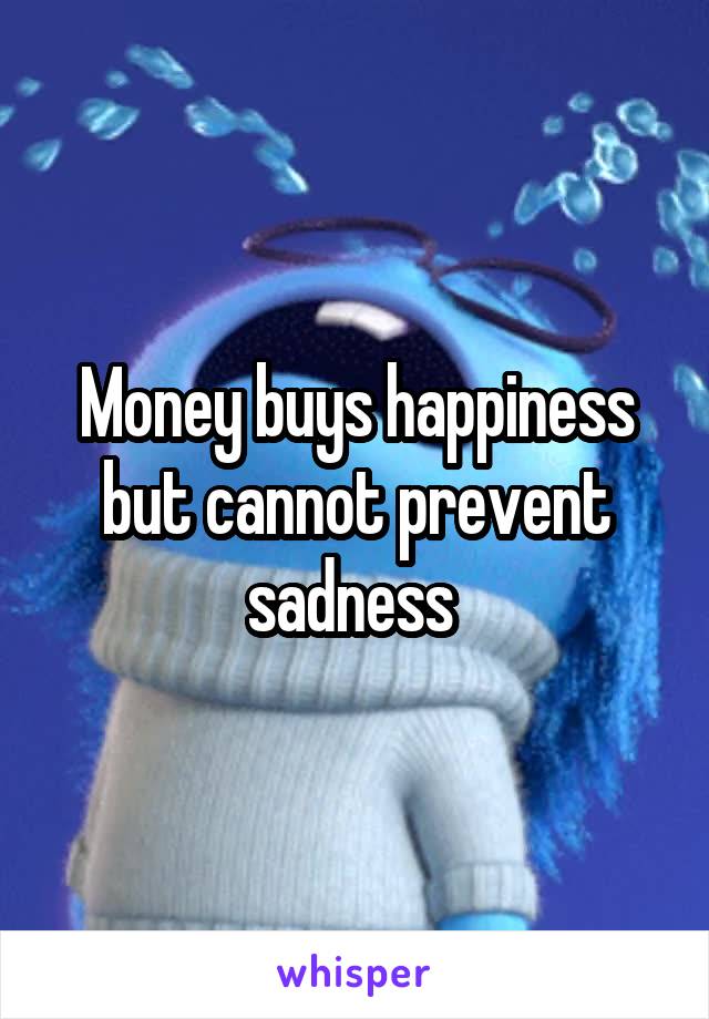 Money buys happiness but cannot prevent sadness 