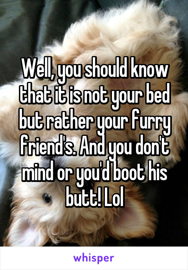 Well, you should know that it is not your bed but rather your furry friend's. And you don't mind or you'd boot his butt! Lol