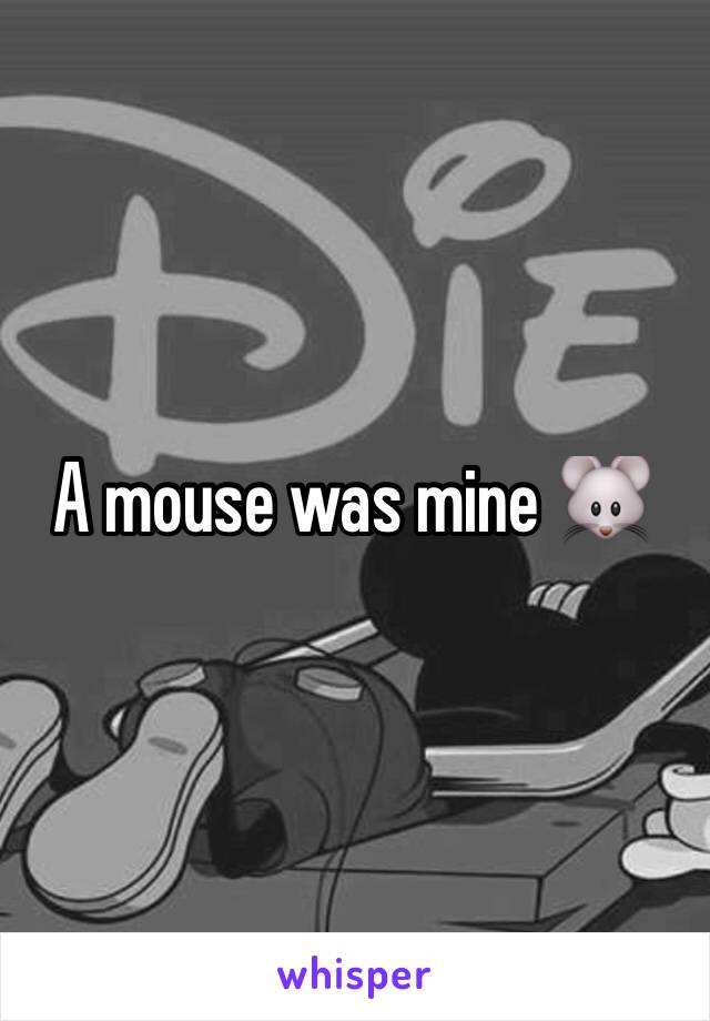 A mouse was mine 🐭 