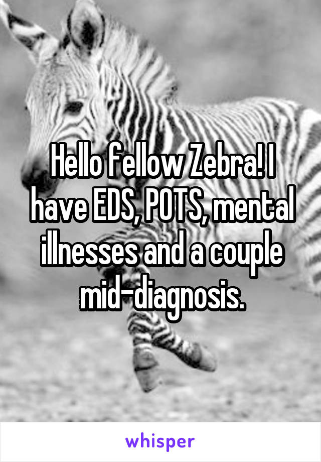 Hello fellow Zebra! I have EDS, POTS, mental illnesses and a couple mid-diagnosis.