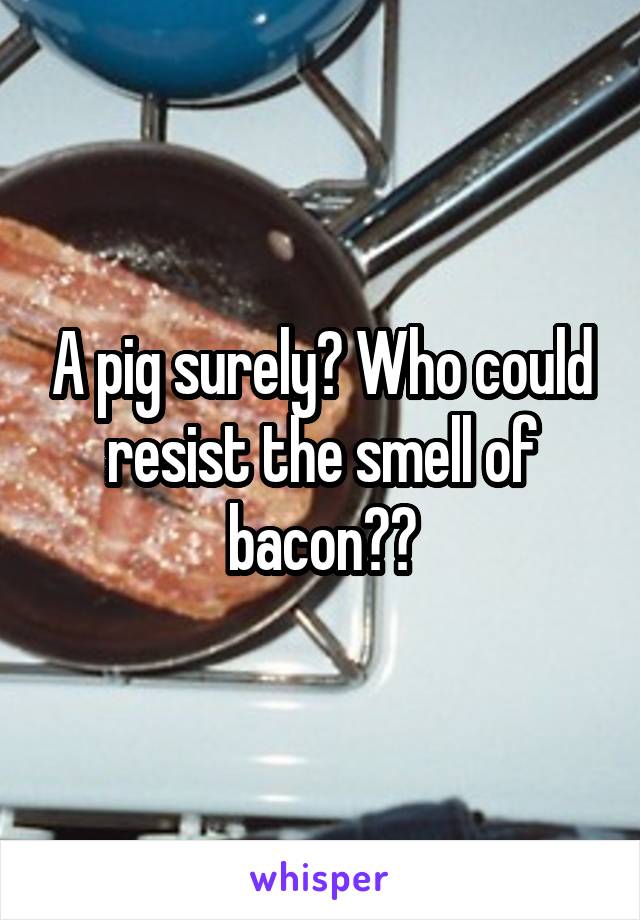 A pig surely? Who could resist the smell of bacon??