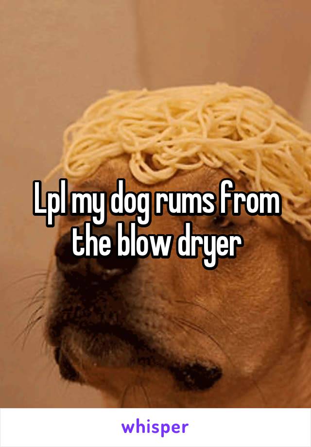 Lpl my dog rums from the blow dryer