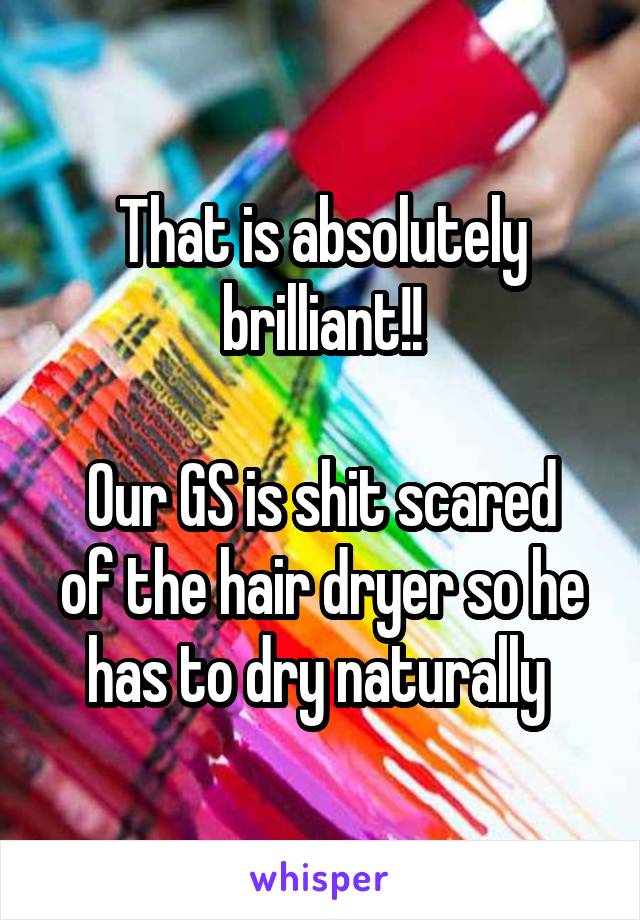 That is absolutely brilliant!!

Our GS is shit scared of the hair dryer so he has to dry naturally 