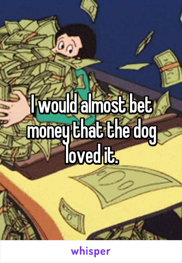 I would almost bet money that the dog loved it.