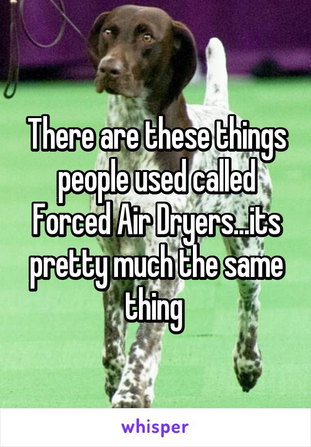 There are these things people used called Forced Air Dryers...its pretty much the same thing 