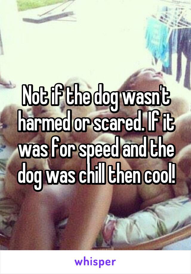 Not if the dog wasn't harmed or scared. If it was for speed and the dog was chill then cool!