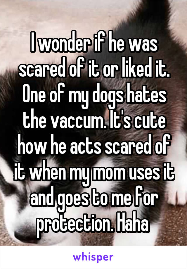 I wonder if he was scared of it or liked it. One of my dogs hates the vaccum. It's cute how he acts scared of it when my mom uses it and goes to me for protection. Haha 