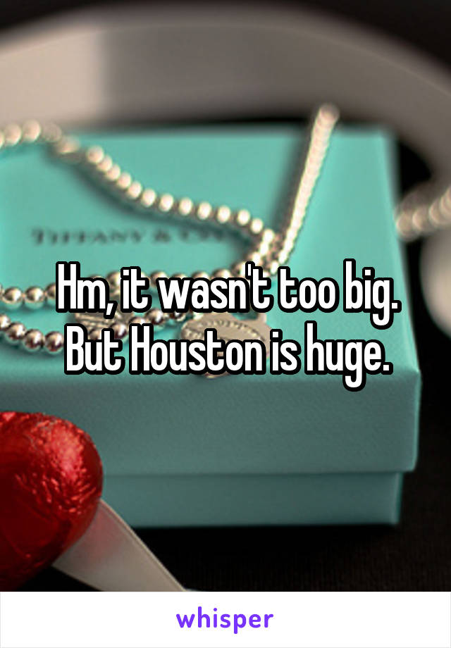 Hm, it wasn't too big. But Houston is huge.