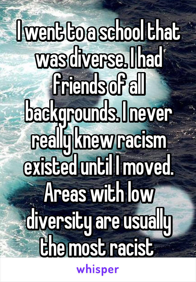 I went to a school that was diverse. I had friends of all backgrounds. I never really knew racism existed until I moved. Areas with low diversity are usually the most racist 