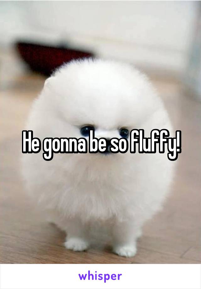 He gonna be so fluffy!