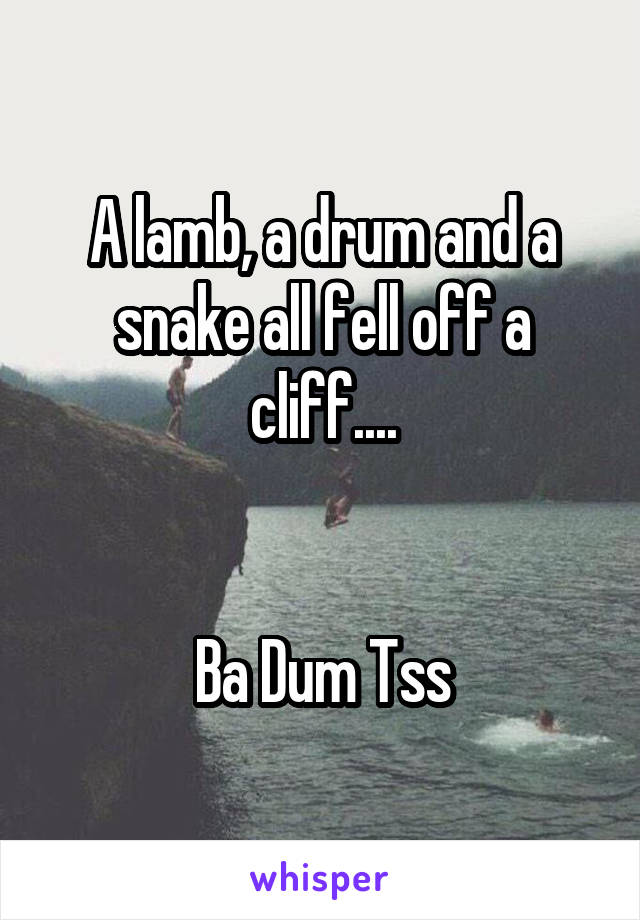 A lamb, a drum and a snake all fell off a cliff....


Ba Dum Tss