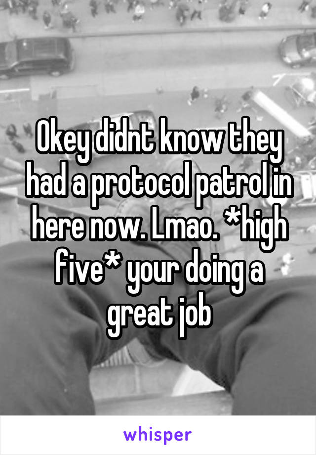 Okey didnt know they had a protocol patrol in here now. Lmao. *high five* your doing a great job