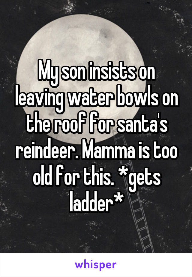 My son insists on leaving water bowls on the roof for santa's reindeer. Mamma is too old for this. *gets ladder*