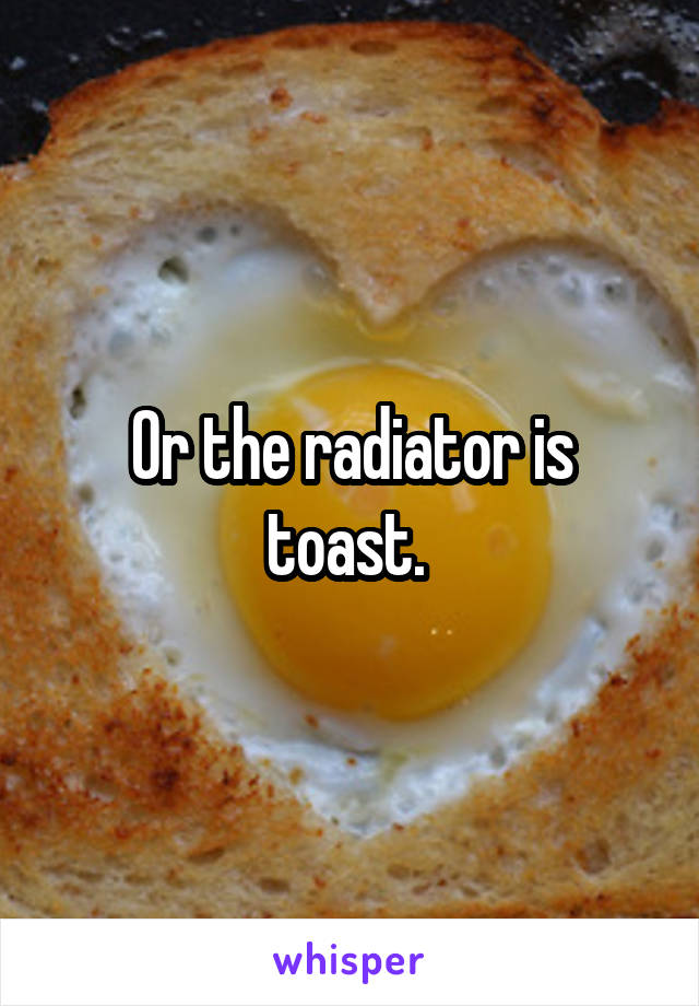 Or the radiator is toast. 