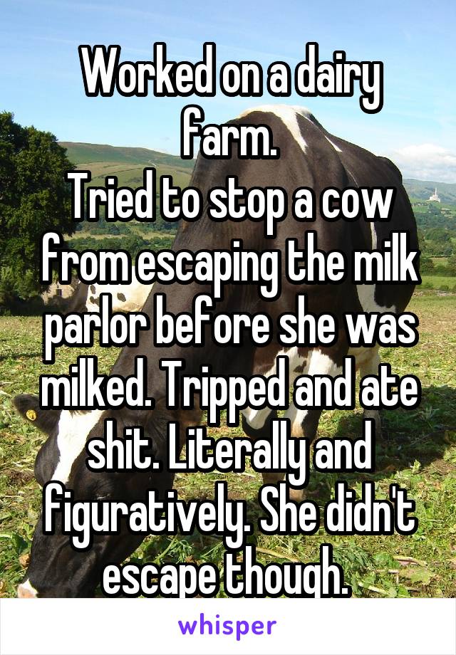 Worked on a dairy farm.
Tried to stop a cow from escaping the milk parlor before she was milked. Tripped and ate shit. Literally and figuratively. She didn't escape though. 