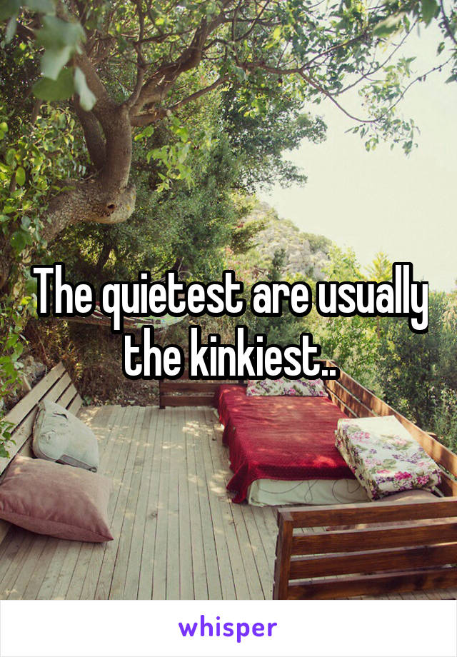 The quietest are usually the kinkiest..