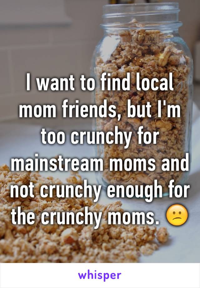 I want to find local mom friends, but I'm too crunchy for mainstream moms and not crunchy enough for the crunchy moms. 😕
