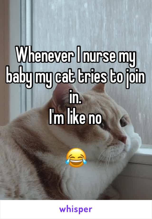 Whenever I nurse my baby my cat tries to join in.
I'm like no

😂