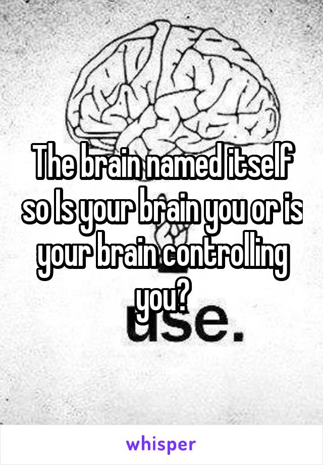 The brain named itself so Is your brain you or is your brain controlling you?