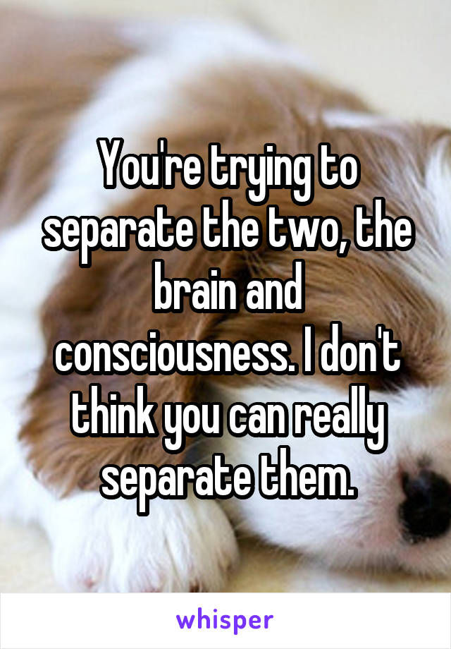 You're trying to separate the two, the brain and consciousness. I don't think you can really separate them.