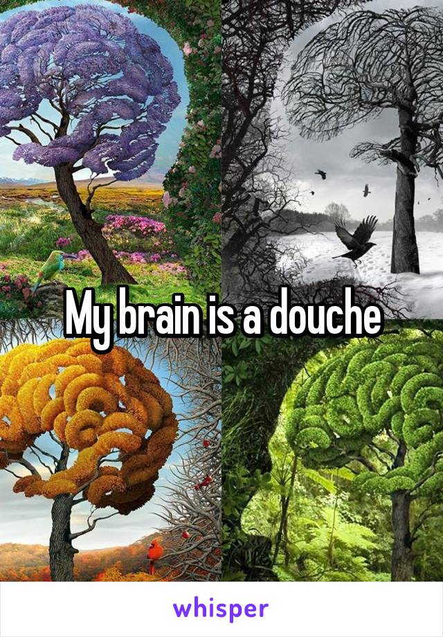 My brain is a douche