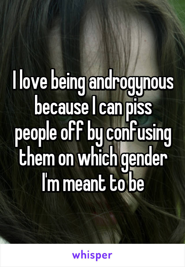 I love being androgynous because I can piss people off by confusing them on which gender I'm meant to be
