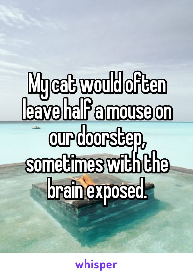 My cat would often leave half a mouse on our doorstep, sometimes with the brain exposed.