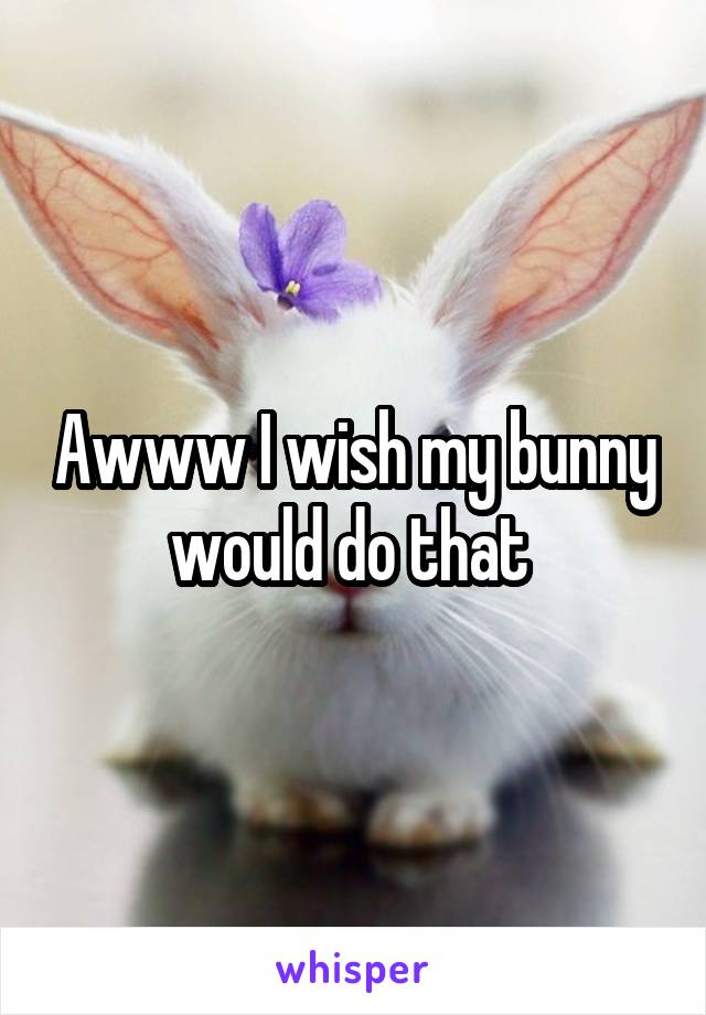 Awww I wish my bunny would do that 