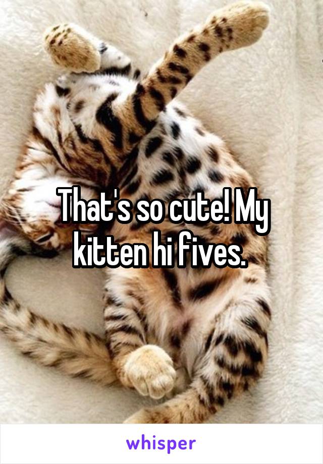 That's so cute! My kitten hi fives. 