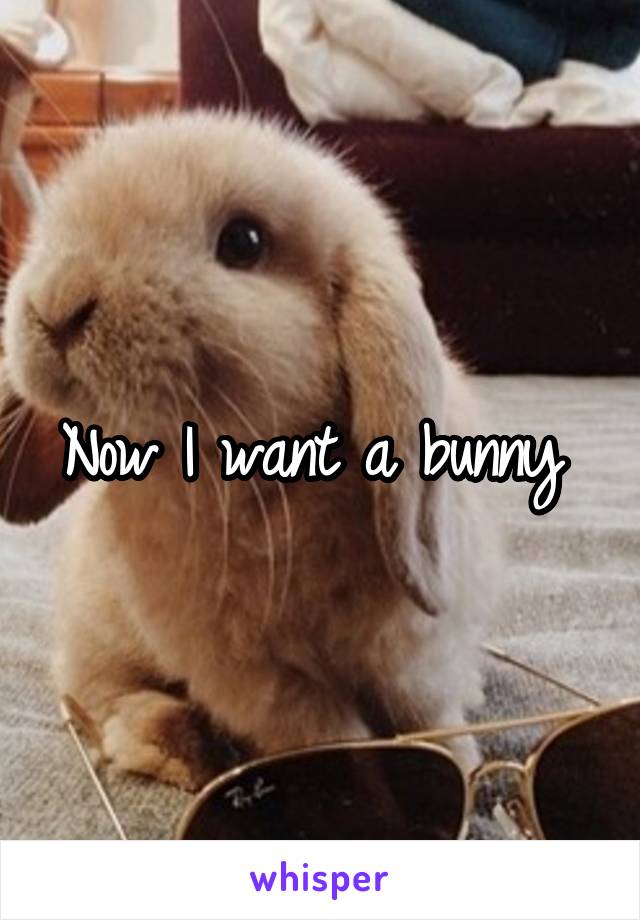 Now I want a bunny 