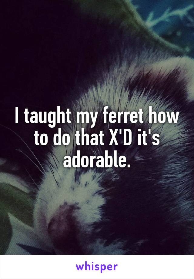 I taught my ferret how to do that X'D it's adorable.