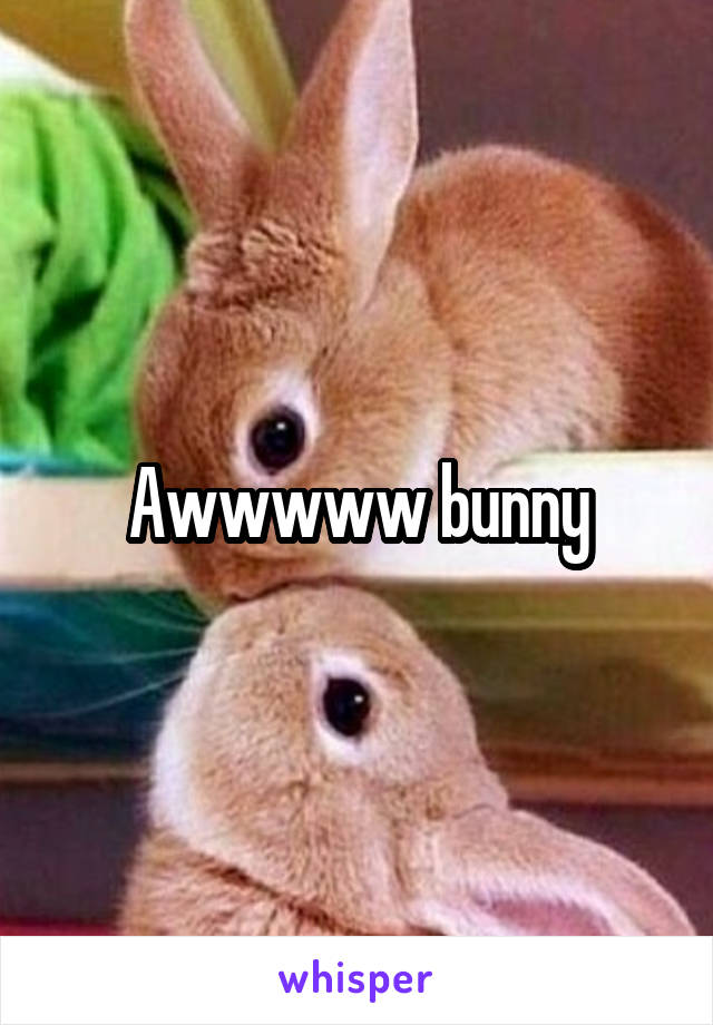 Awwwww bunny